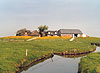 Honkenswarf Frhling
